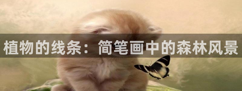 新宝gg龙虎规则