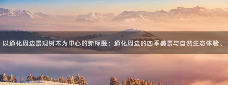 新宝GG创业奇迹