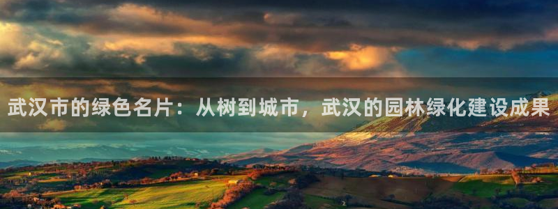 新宝gg开户流程