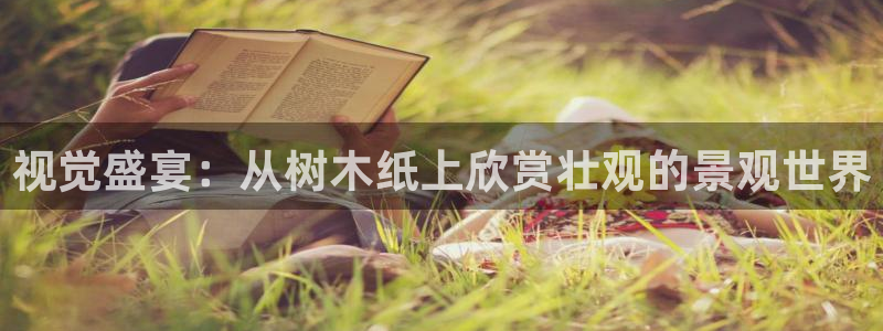 新宝gg软件下载