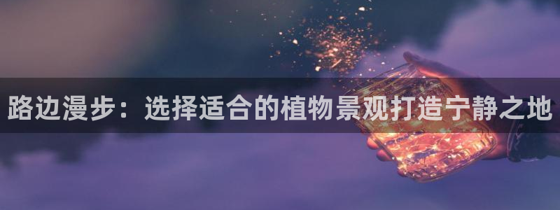 新宝gg平台q891465