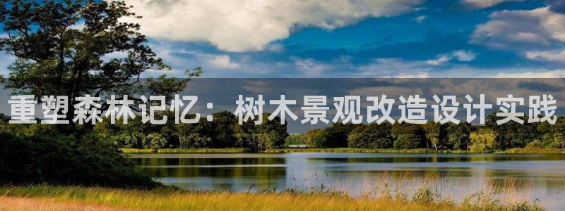 新宝gg一创造奇迹