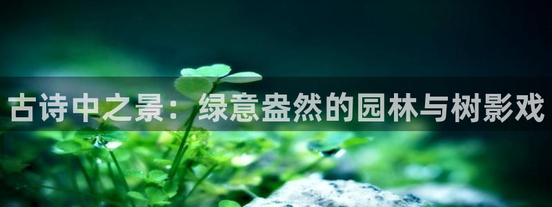 新宝gg创：古诗中之景：绿意盎然的园林与树影戏