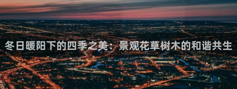 新宝gg怎么开户