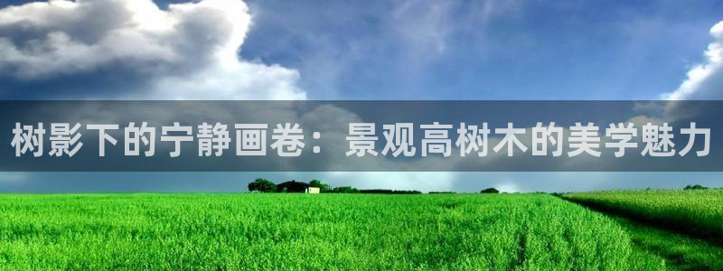 新宝gg如何注册：树影下的宁静画卷：景观高树木的美学魅力