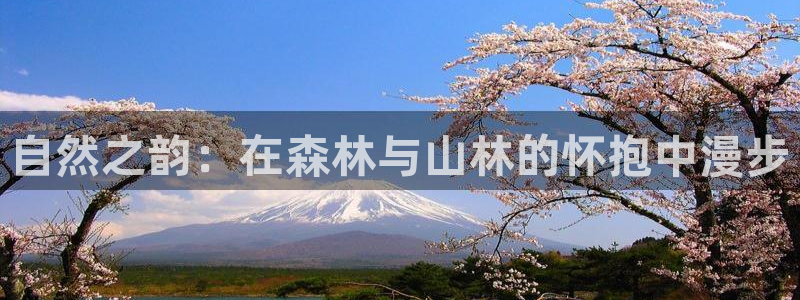 新宝gg会员登录：自然之韵：在森林与山林的怀抱中漫步