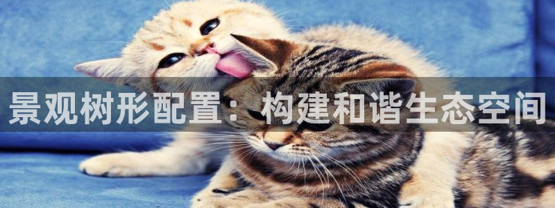 新宝gg找回账号