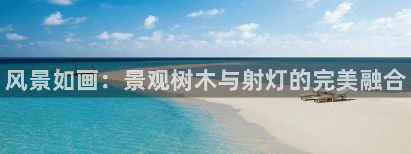 新宝gg—登录：风景如画：景观树木与射灯的完美融合