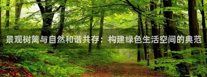 新宝gg分红