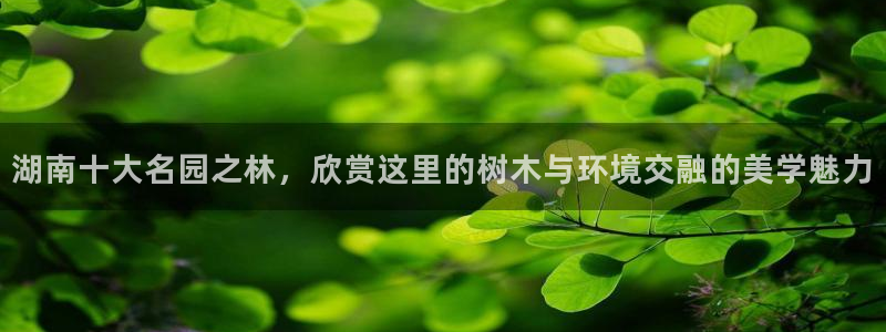 新宝gg网点