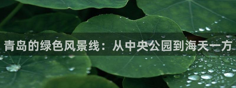 创造奇迹 新宝gg：青岛的绿色风景线：从中央公园到海天一方