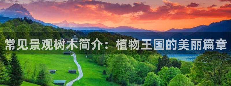 新宝gg 网址