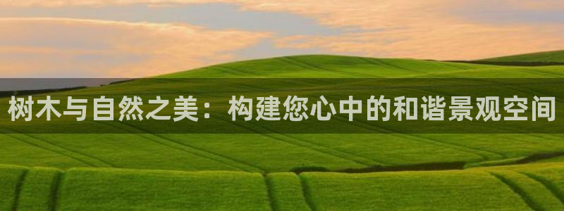 新宝gg网投