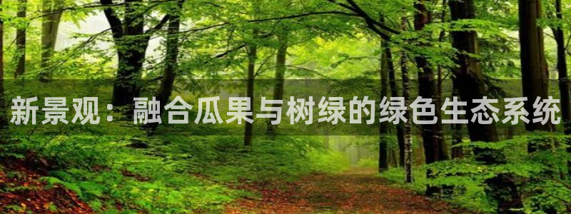 新宝GG手机客户端