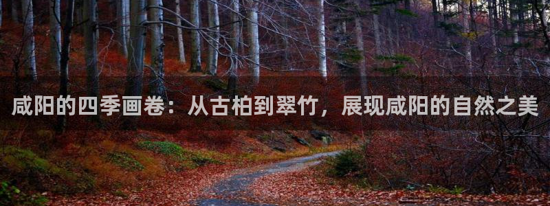 新宝gg如何代理：咸阳的四季画卷：从古柏到翠竹，展现咸阳的自然之美