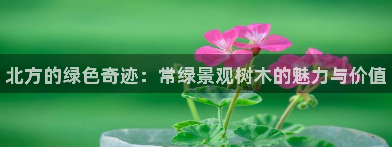 新宝gg-创业奇迹