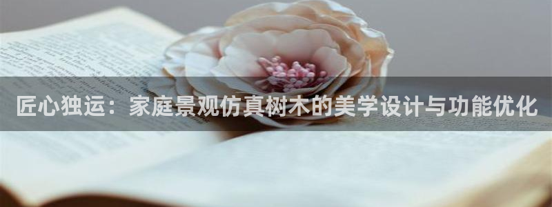 新宝gg 创造奇迹