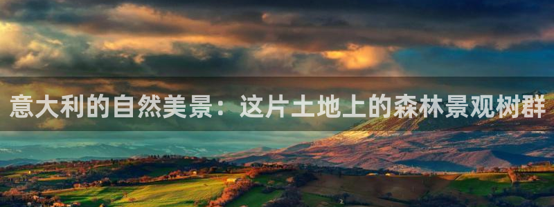 新宝gg怎么做代理