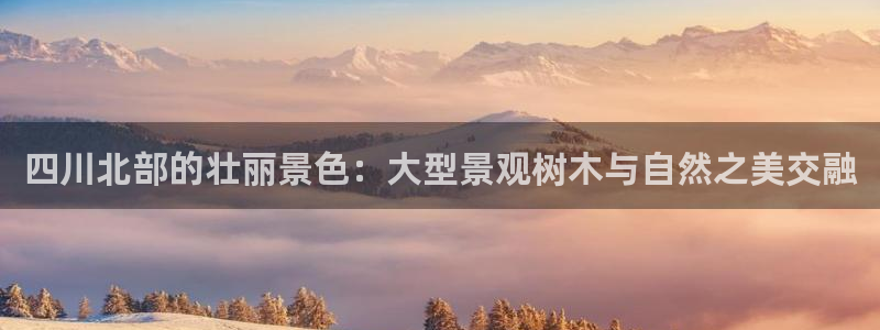 新宝gg创造奇迹平台