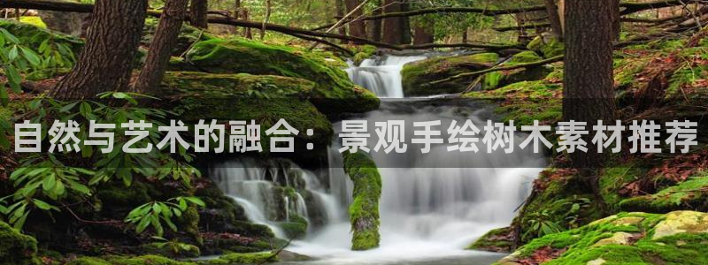 新宝gg龙虎规则