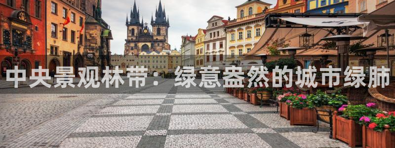 新宝gg真的能赚钱么