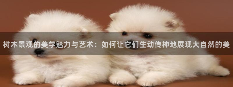 新宝gg佣金