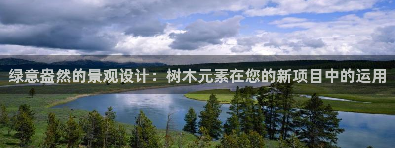 新宝gg官方主管