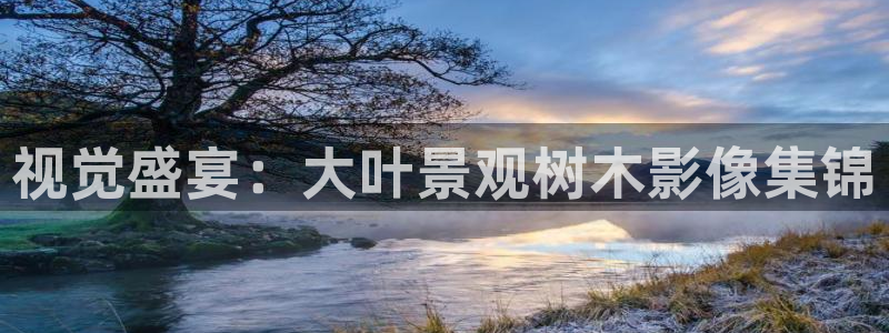 认准新宝gg