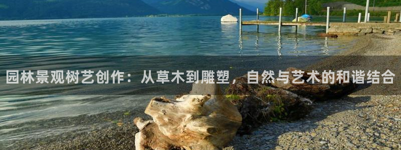 新宝gg平台下载安装