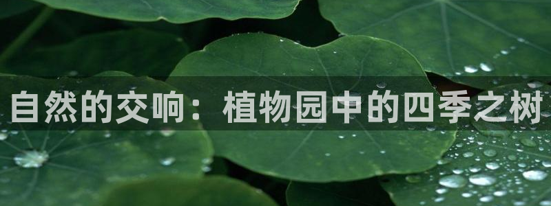 新宝gg和新宝123：自然的交响：植物园中的四季之树