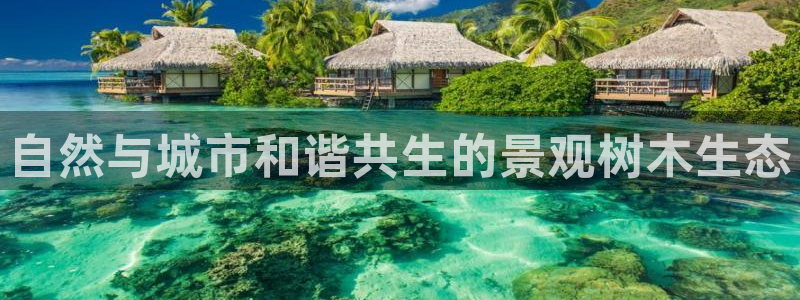 新宝gg扣钱：自然与城市和谐共生的景观树木生态