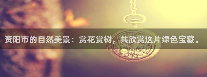 新宝GG上级