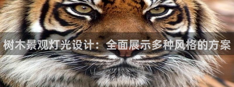 888新宝gg：树木景观灯光设计：全面展示多种风格的方案