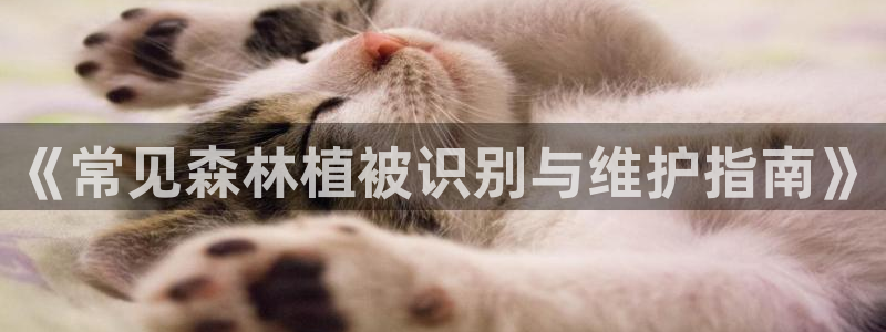 新宝gg信息