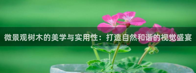新宝gg是在境外吗：微景观树木的美学与实用性：打造自然和谐的视觉盛宴