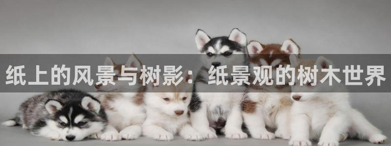 新宝gg登陆平台