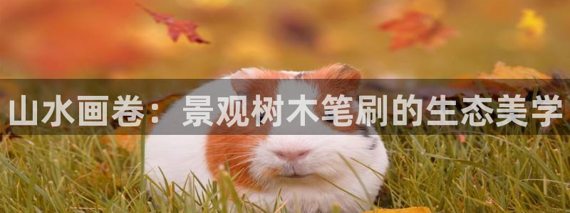新宝彩票gg：山水画卷：景观树木笔刷的生态美学