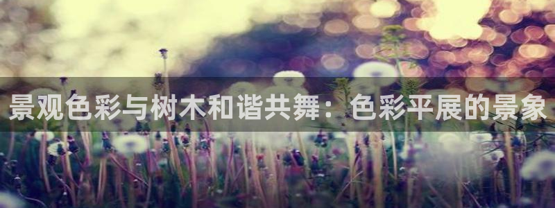 新宝gg一创造奇迹