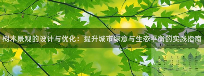 新宝gg总管