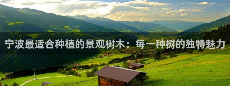 新宝GG创业奇迹