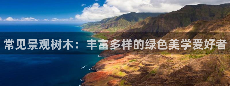 新宝gg客户端下载