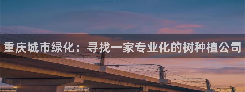 新宝gg在哪开户