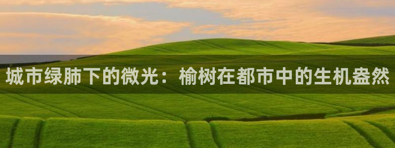 新宝gg开户流程