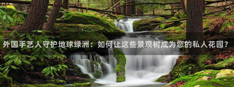 新宝gg平台反水