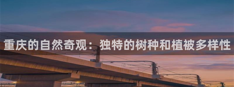 新宝gg平台怎么样