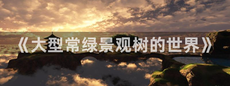 新宝GG娱乐-上皇巢网