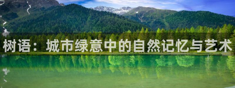 新宝gg如何赚钱