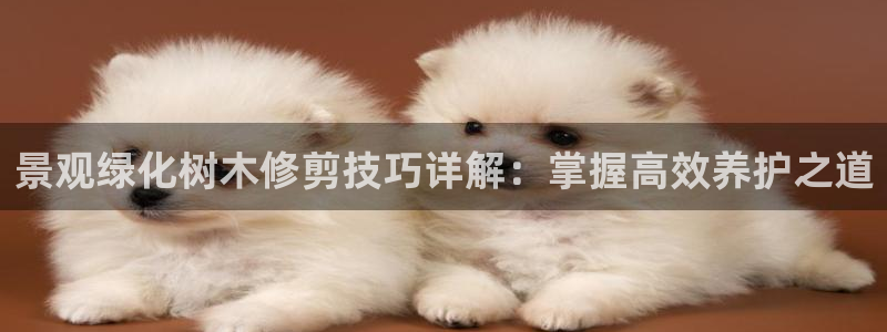 109新宝gg：景观绿化树木修剪技巧详解：掌握高效养护之道