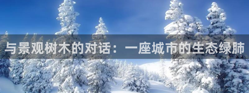 新宝GG—创造奇迹