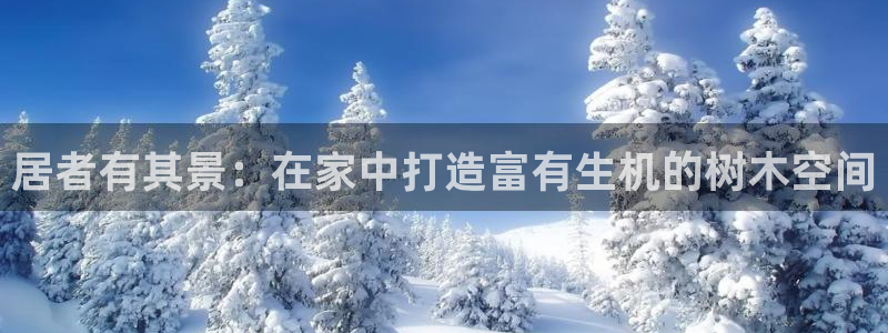 新宝gg平台q891465